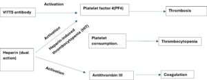 TTS and Heparin induced thrombocytopenia. 